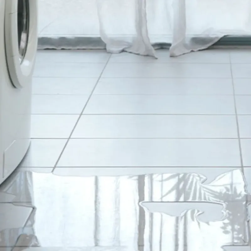 Appliance Leak Cleanup in Arab, AL