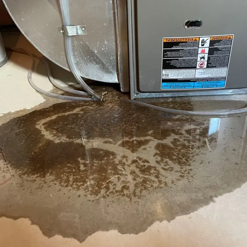 Pipe Burst and Leak Restoration in Arab, AL